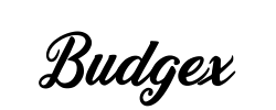 Budgex - logo